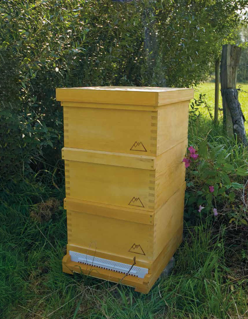 Starterset Herold - Herold Beute lasiert