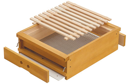 Hoherwanderboden-Neu-Bergwinkelbeute-Zander