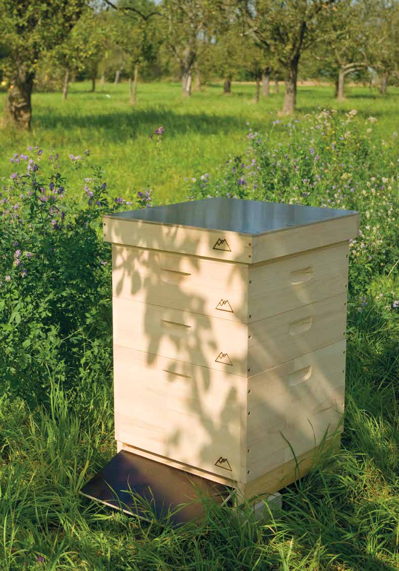 Starterset 12er Dadant Beute