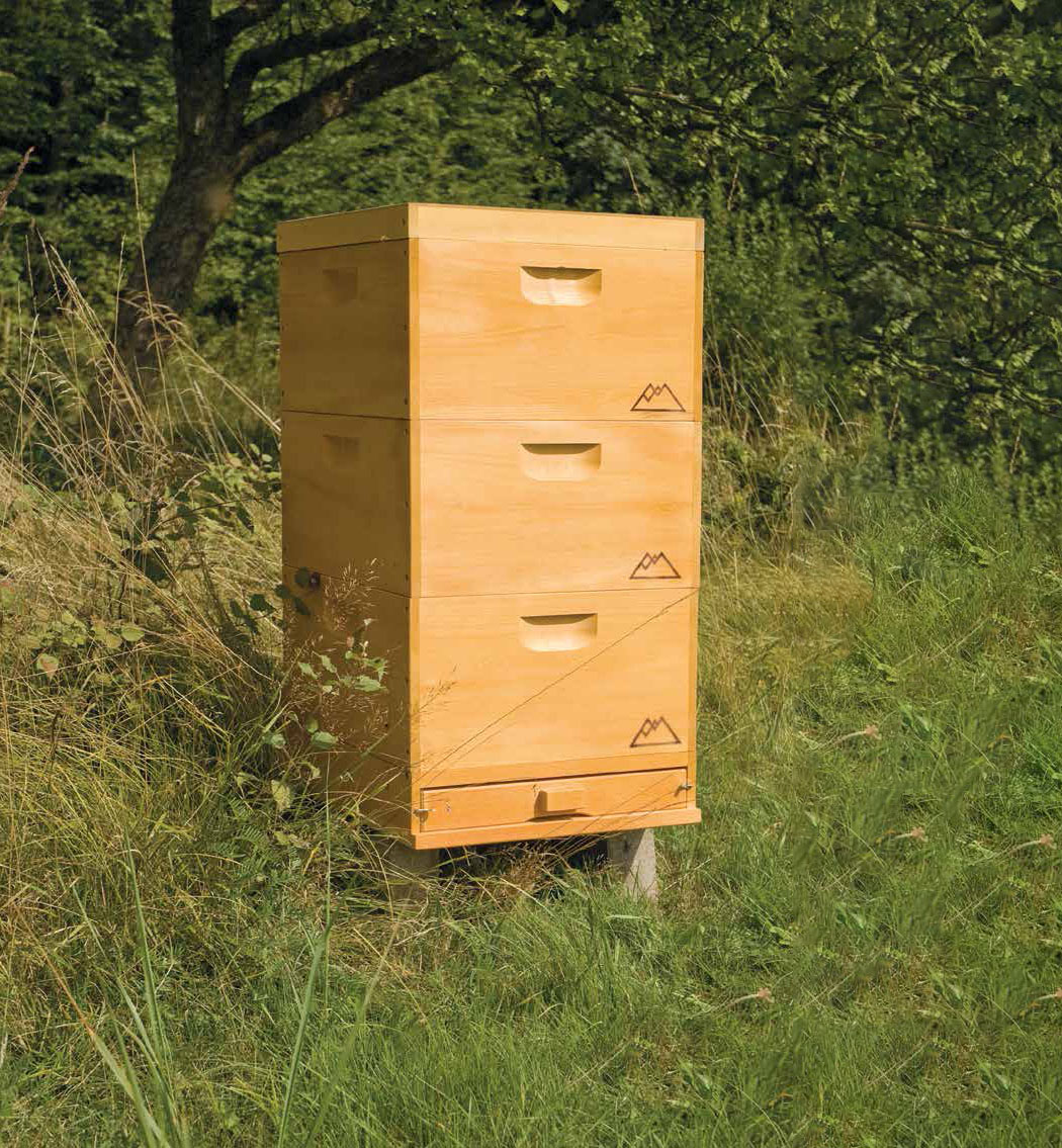 Starterset DNM – Bergwinkel Beute DNM