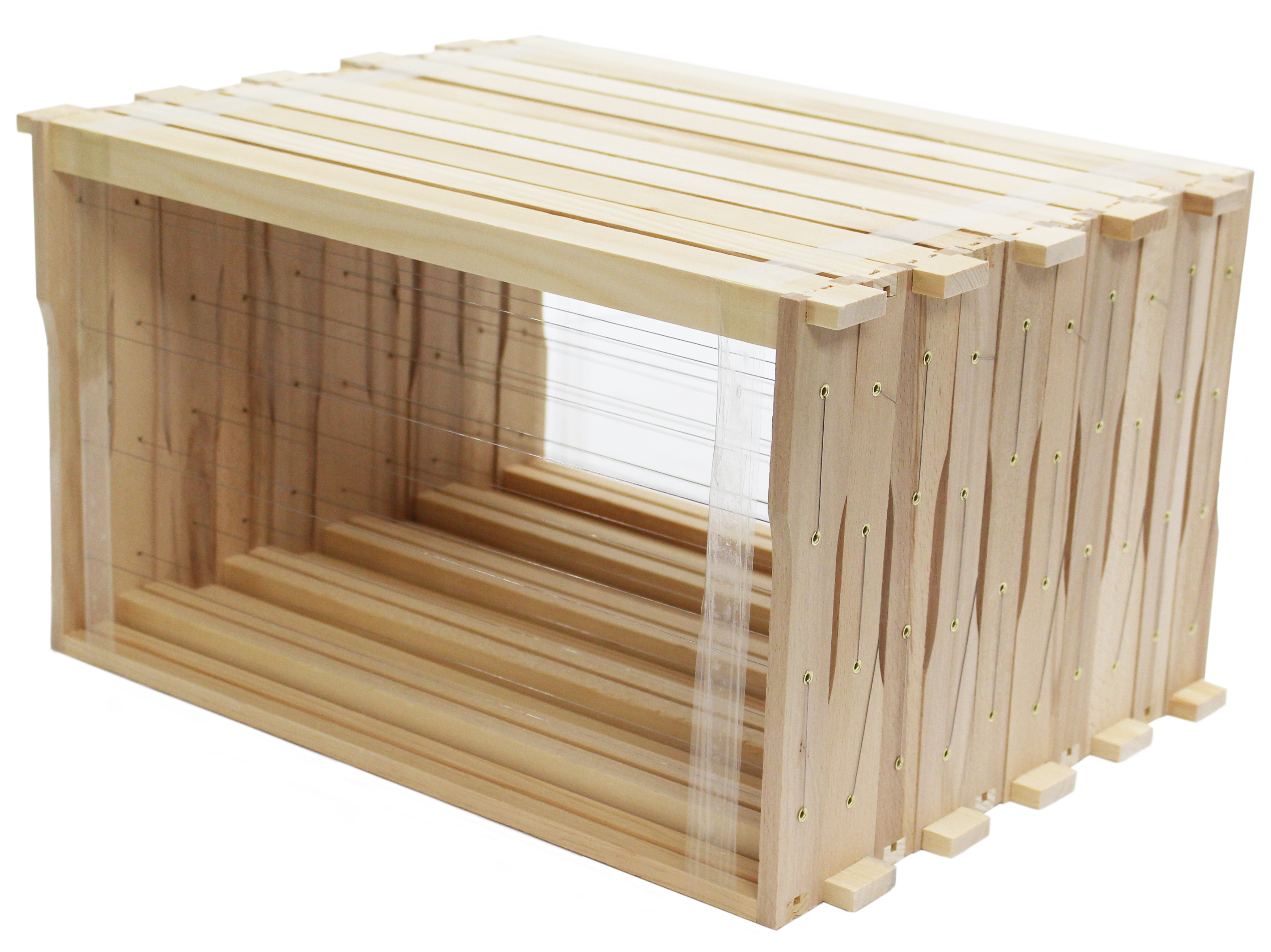 Freigestellt_IMG_1636_111440-DNM-Modifiziert_geoest-und-gedrahtet_HS-Buche-2